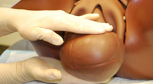 Photo of gloved hands performing a simulated birth on an infant and adult mannequin.