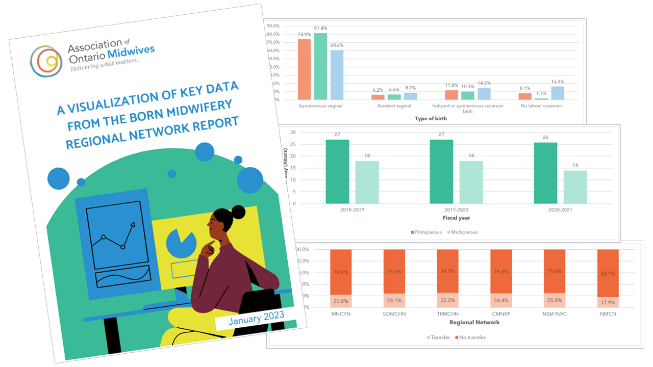 Cover page from Visualization resource, alongside several sample graphs