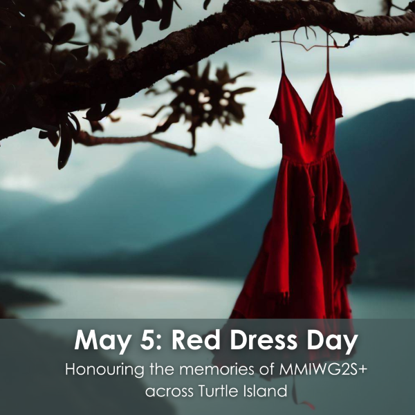 Red Dress Day hanging of a tree branch with a river and mountains faded in the background.