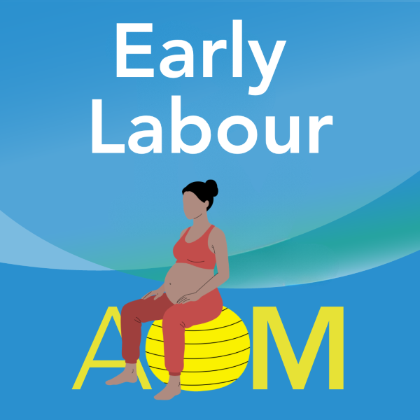 Icon for Early Labour app, featuring pregnant person on a yoga ball that serves as the O in A-O-M.