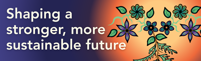 Storm Angeconeb artwork for Strategic Plan overlayed with graphic text that reads, "Shaping a stronger, more sustainable future." 