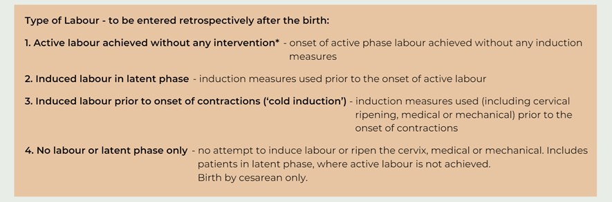 Definition of Types of Labour