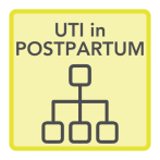 UTI in postpartum