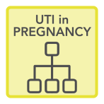 UTI in pregnancy