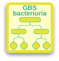 GBS Bacteriuria