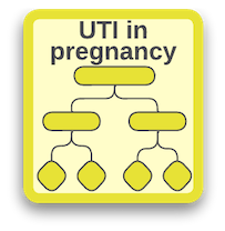 UTI and Pregnancy: Fertility, Gestation, and Postpartum